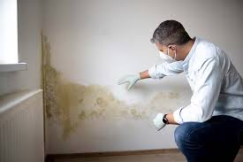 Best Post-Construction Mold Inspection  in Golden, CO